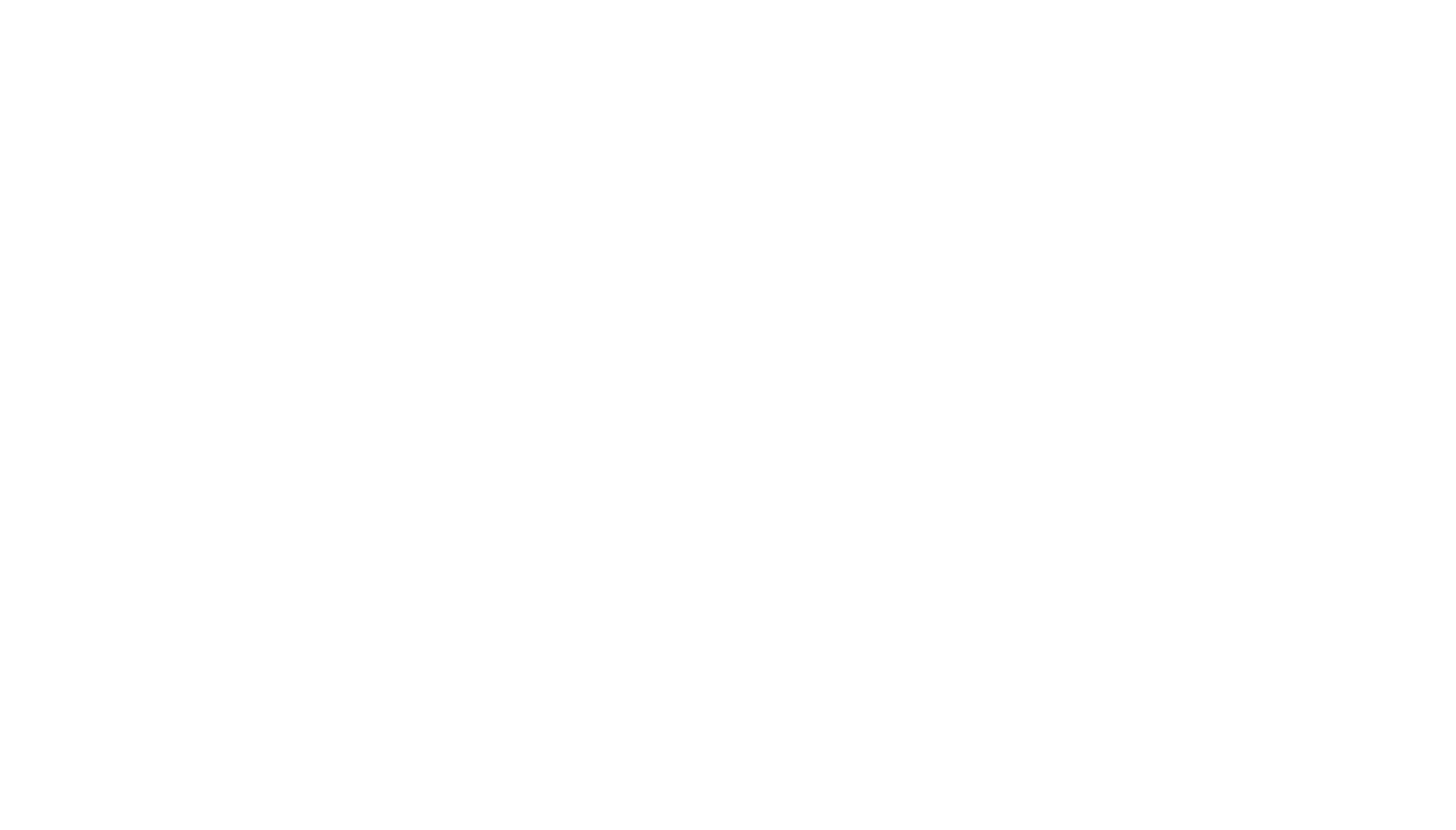 Breezetur Logo